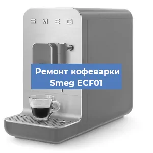 Декальцинация   кофемашины Smeg ECF01 в Санкт-Петербурге